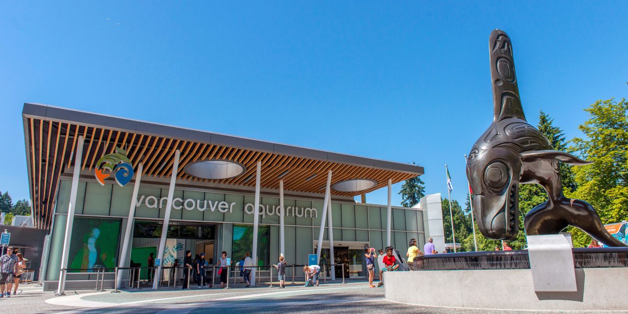 Vancouver Aquarium Shutting Down to Public to Develop New Model