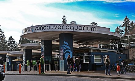 Vancouver Aquarium Sold to US Tourist Attraction Company
