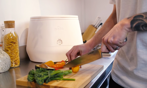 Pela Launches Lomi, a Kitchen Appliance to Transform Waste to Dirt in 24 Hours